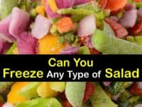 Can You Freeze Salad titleimg1