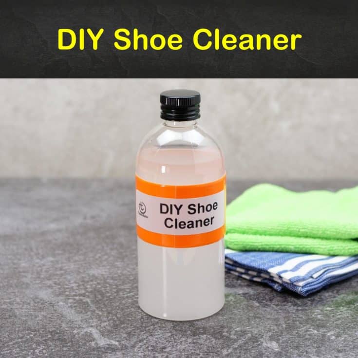 10 Simple Do-It-Yourself Shoe Cleaner 