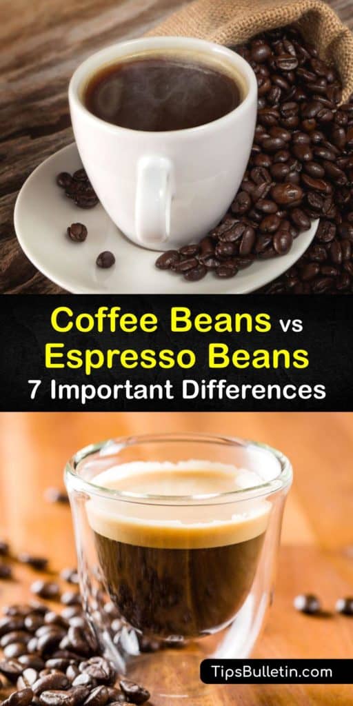 Get your mind moving after your morning French press and read this article about how espresso and coffee beans differ. Discover how brewing methods, an espresso machine, hot water, roasters, ground coffee, and Arabica beans make drip coffee and espresso different. #espresso #coffee #beans