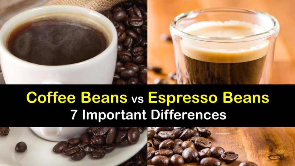 Espresso Beans vs Coffee Beans titleimg1