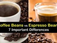 Espresso Beans vs Coffee Beans titleimg1