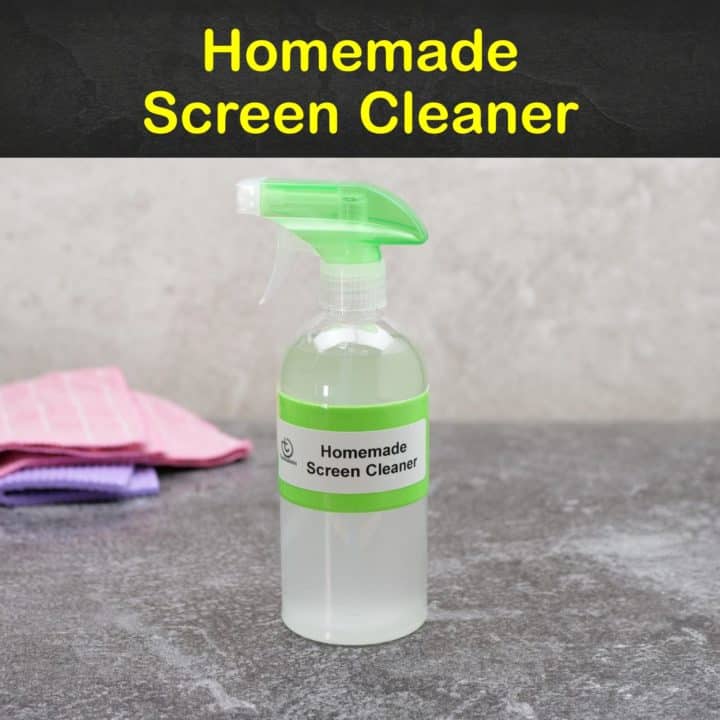 Homemade Screen Cleaner