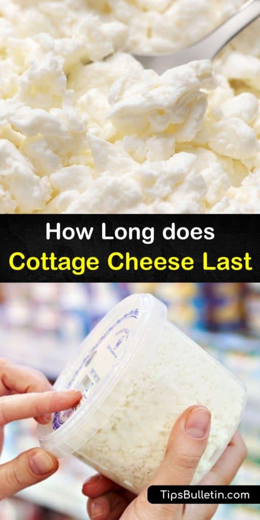 Become an expert in cheese after reading this article about how to make cottage cheese last after the expiration date with an airtight container and aluminum foil. Understand food safety and avoid food poisoning by leaving the curd out at room temperature. #cottage #cheese #last