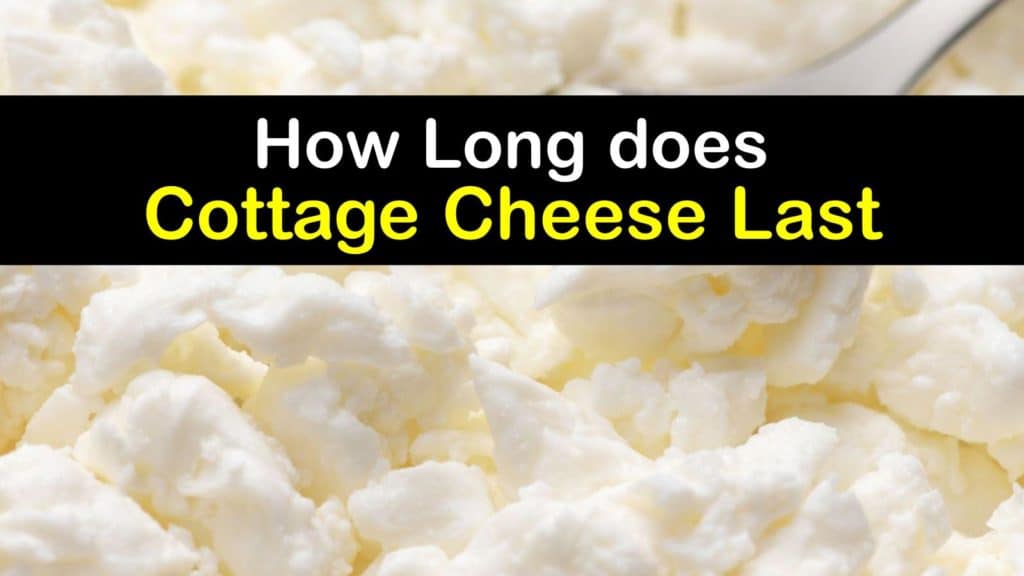 How Long does Cottage Cheese Last titleimg1