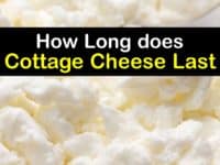 How Long does Cottage Cheese Last titleimg1