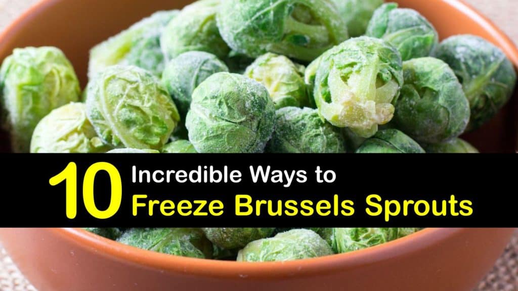 How to Freeze Brussels Sprouts titleimg1