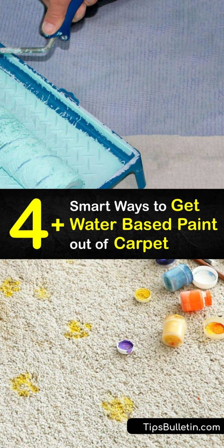 4+ Smart Ways to Get Water Based Paint out of Carpet
