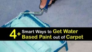 How to Get Water Based Paint out of Carpet titleimg1