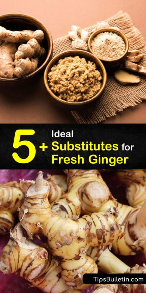 Discover the best fresh ginger substitution. If a recipe calls for a tablespoon of fresh ginger root, use a quarter-teaspoon of ground ginger, or three tablespoons of candied ginger. For a different flavor, substitute allspice, cardamom, or turmeric. #substitute #fresh #ginger