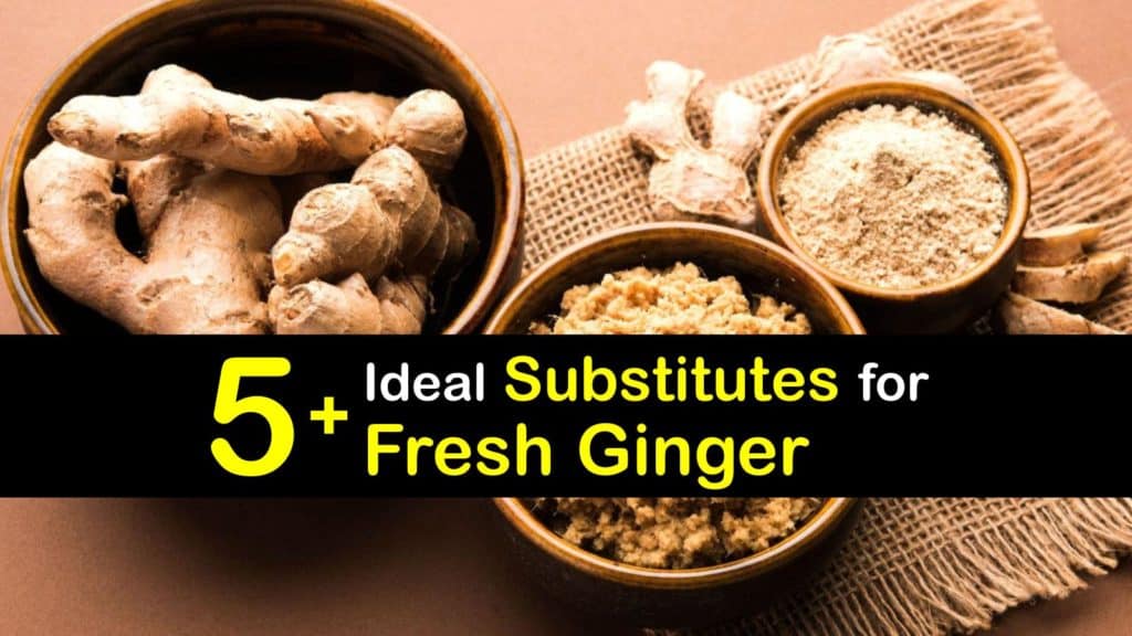 Substitute for Fresh Ginger titleimg1