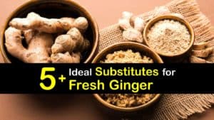 Substitute for Fresh Ginger titleimg1