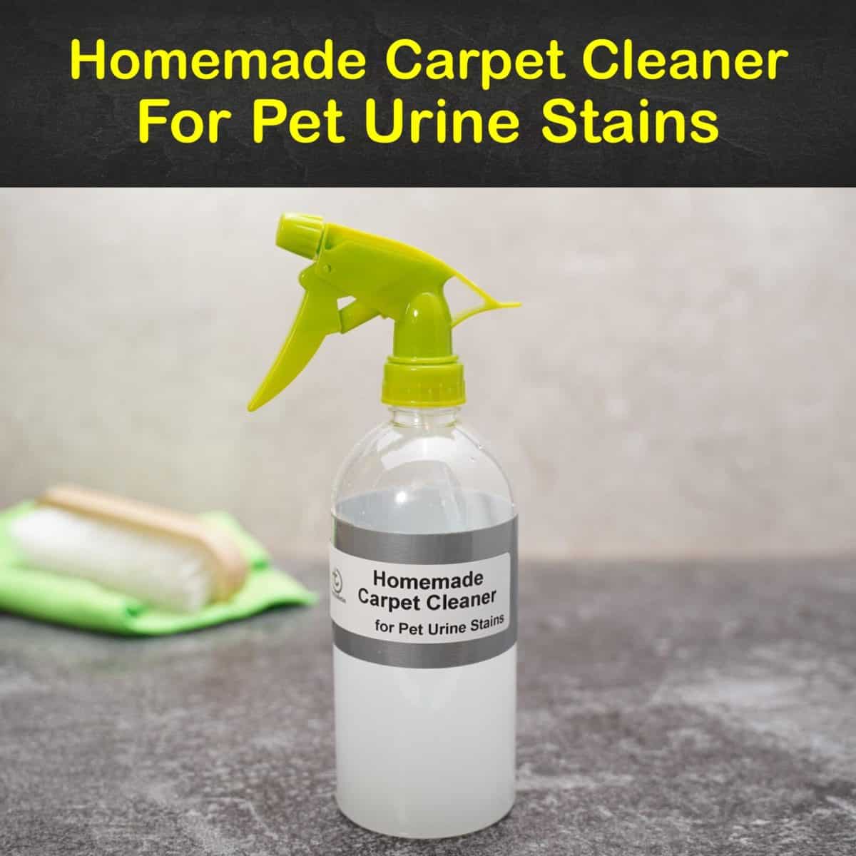 best way to remove urine smell from carpet