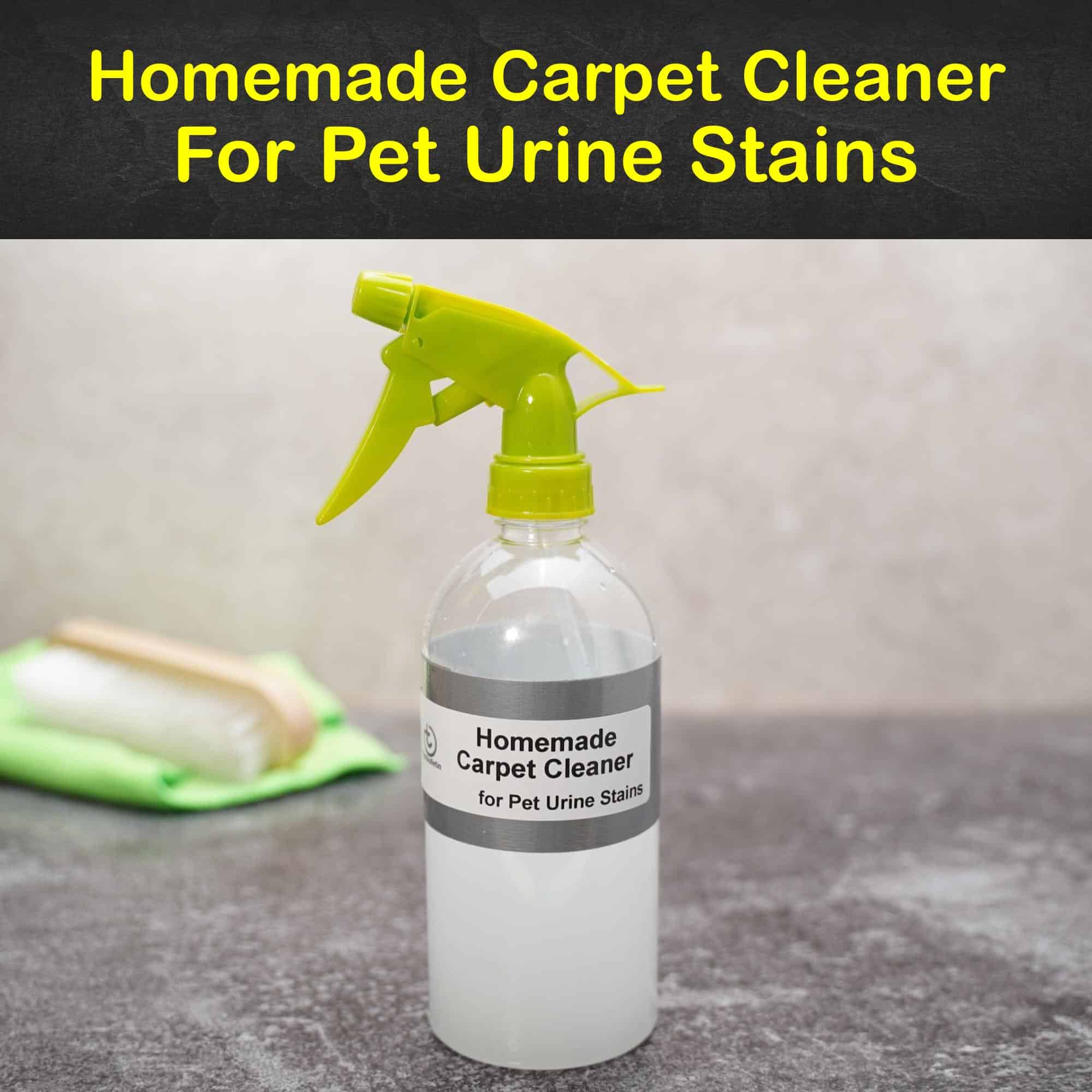 Wadsworth Pet Urine Treatment