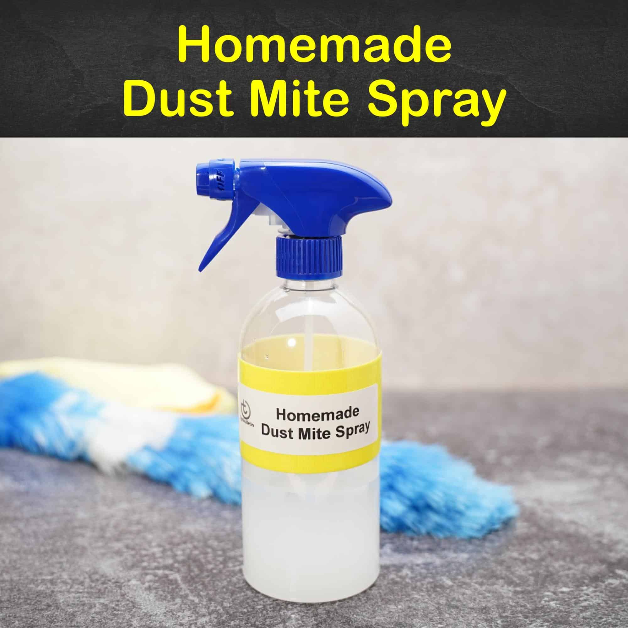 Get Rid Of Dust Mites Homemade Dust Mite Spray Tips