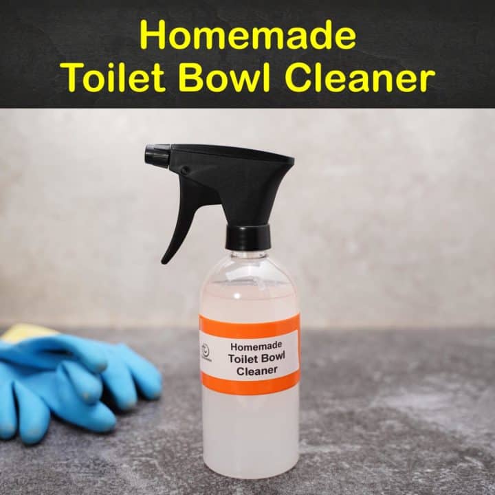 Homemade Toilet Bowl Cleaner