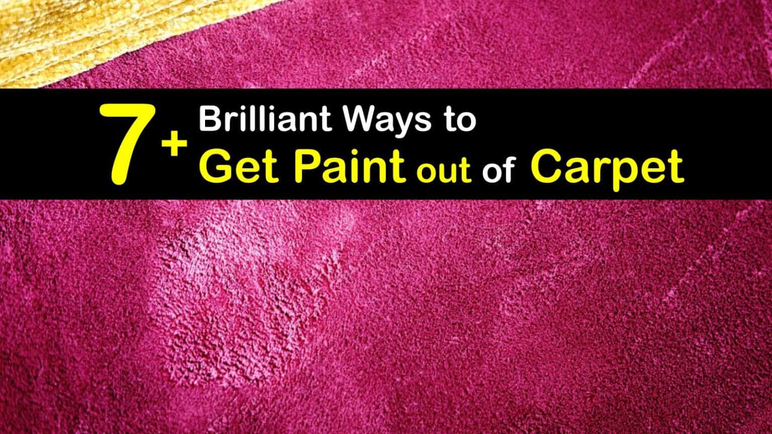7+ Brilliant Ways to Get Paint out of Carpet