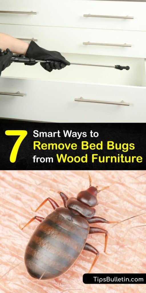 Learn where bed bugs hide and how to kill bed bugs without having to call in pest control services. There are many hiding places in a piece of furniture and it’s vital to use insecticides and other treatments to kill these insects and prevent their return. #wood #furniture #remove #bedbugs