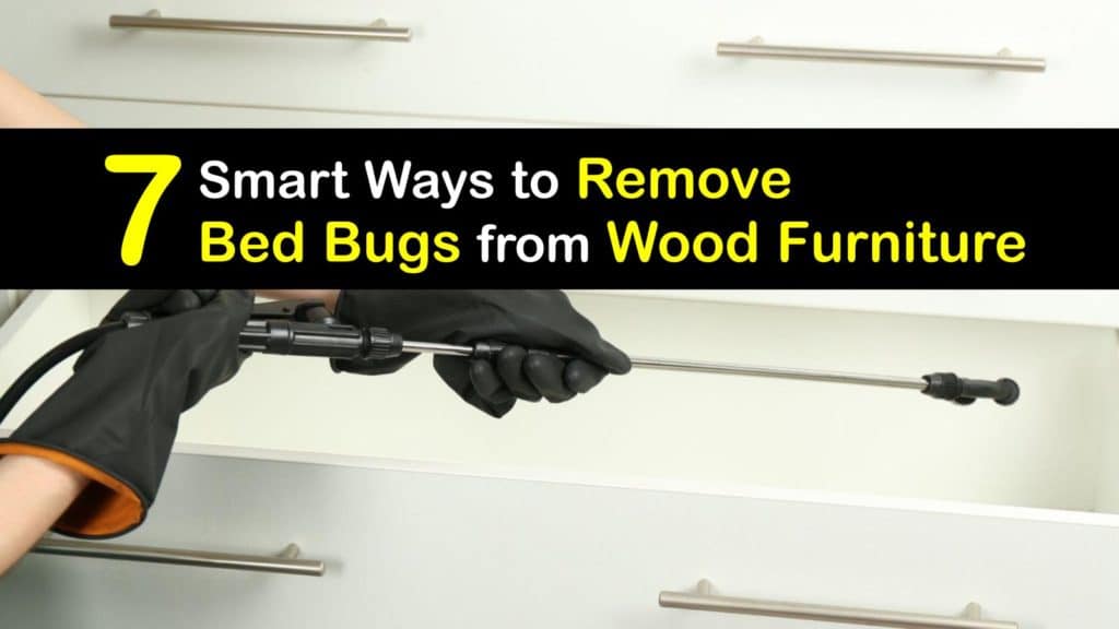 How to Remove Bed Bugs from Wood Furniture titleimg1