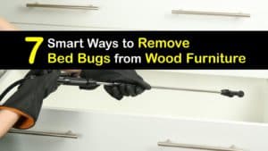 How to Remove Bed Bugs from Wood Furniture titleimg1