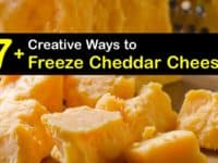 Can You Freeze Cheddar Cheese titleimg1