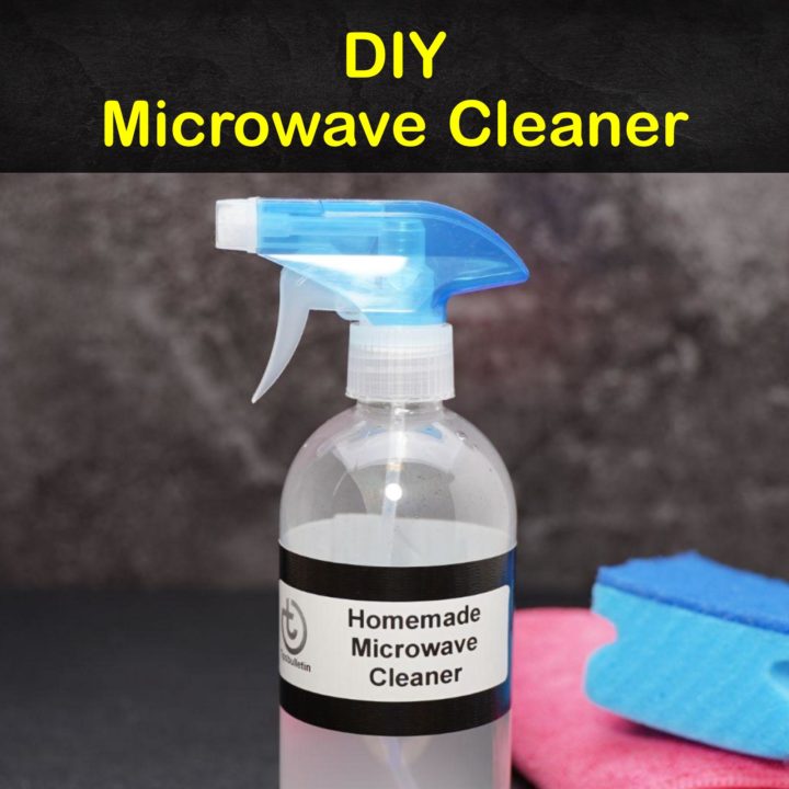 DIY Microwave Cleaner