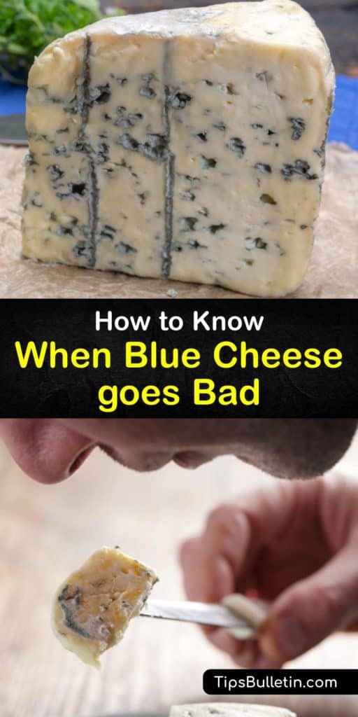 Find out whether blue cheeses like gorgonzola go bad. The edible Penicillium mold gives blue cheese its characteristic blue veins. However, toxic molds that cause food poisoning can develop. Wrap your cheese in wax paper and plastic wrap to prevent spoilage. #bluecheese #fresh #spoiled