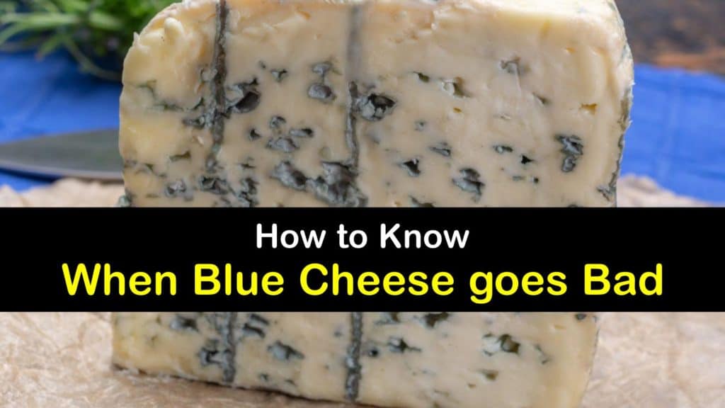 Does Blue Cheese go Bad titleimg1