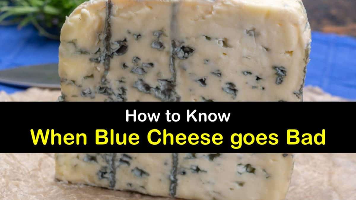 Lifespan of Blue Cheese How to Keep Blue Cheese Fresh