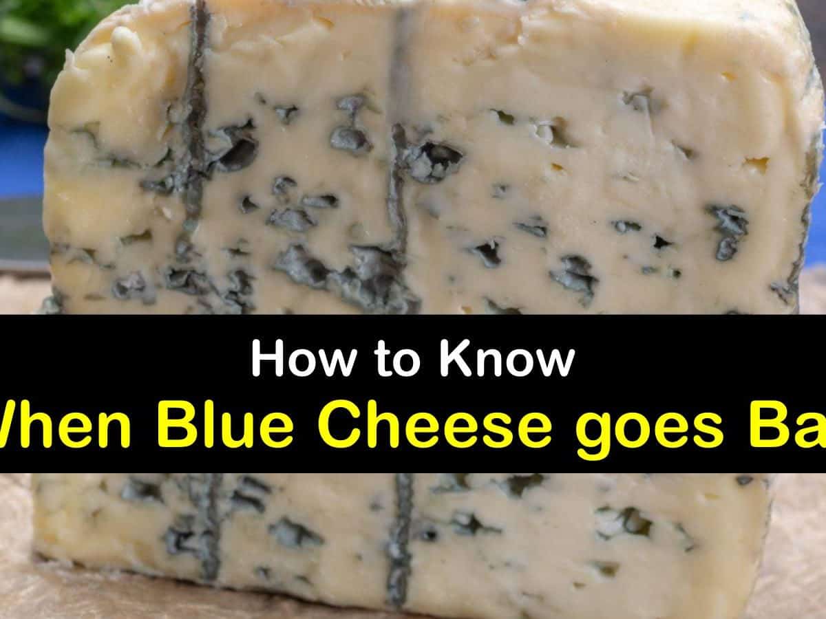 Blue Cheese Mold