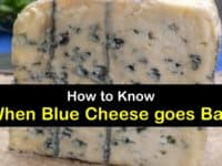 Does Blue Cheese go Bad titleimg1