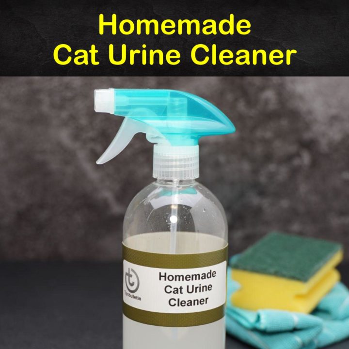 Homemade Cat Urine Cleaner