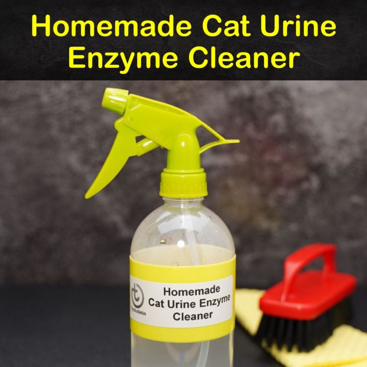 Homemade Cat Urine Enzyme Cleaner