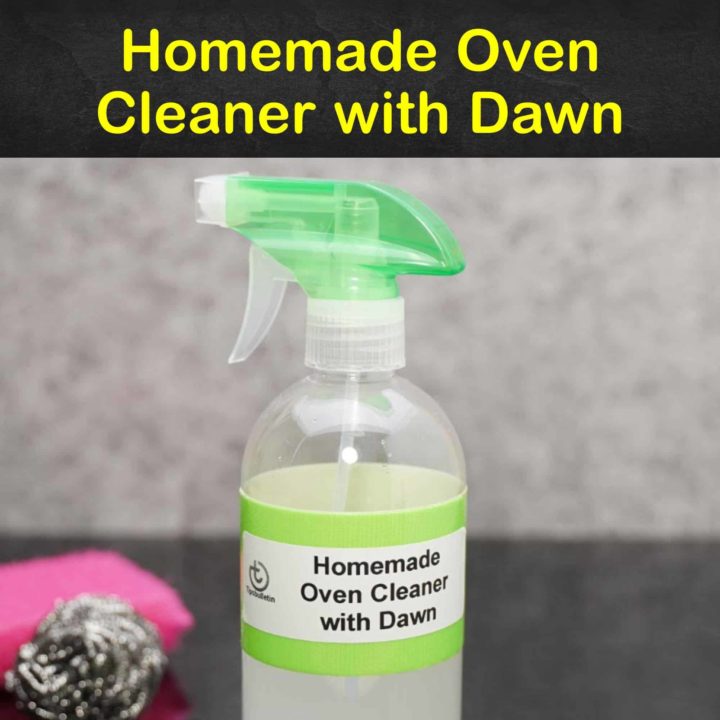 Homemade Oven Cleaner with Dawn