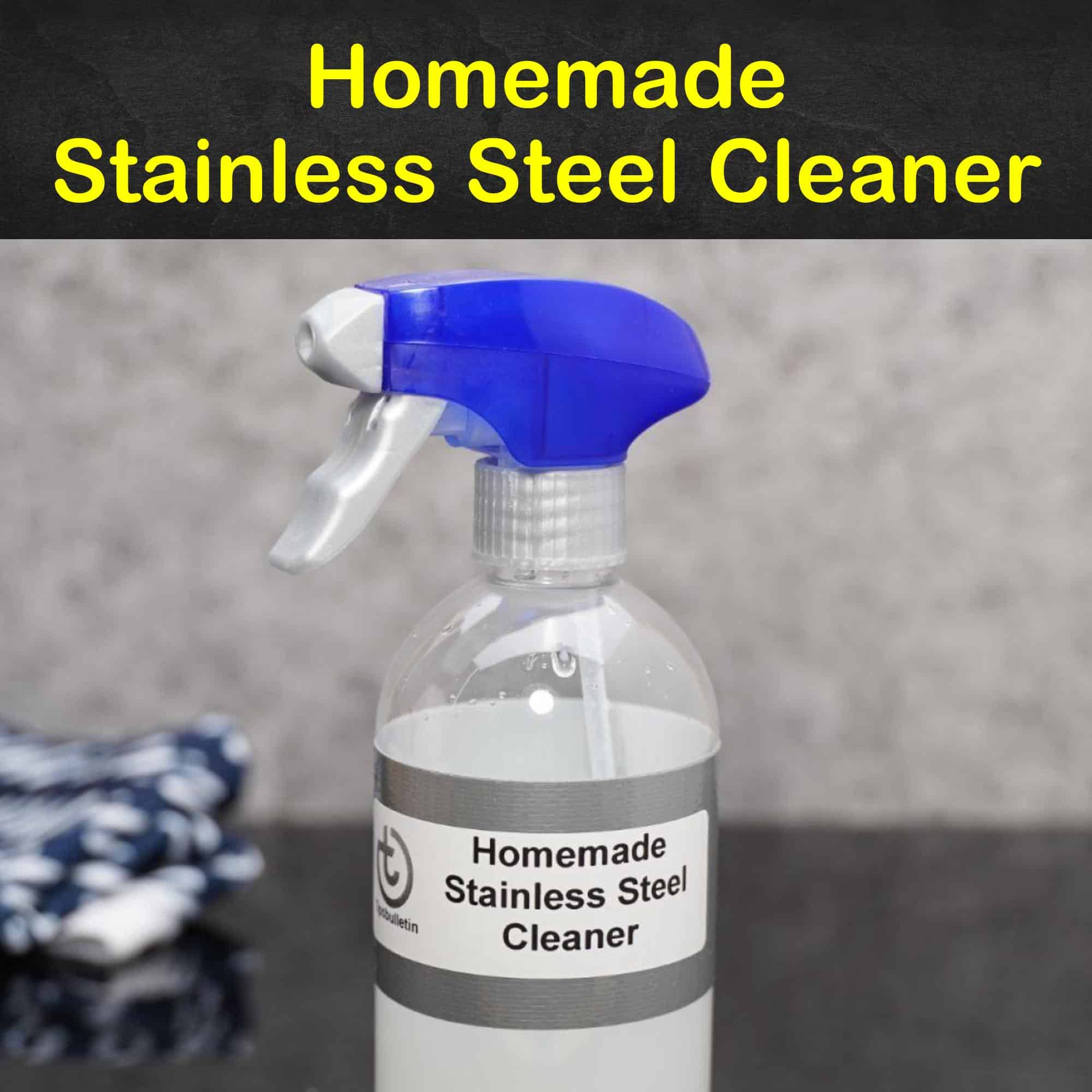7 EasytoMake Stainless Steel Cleaners