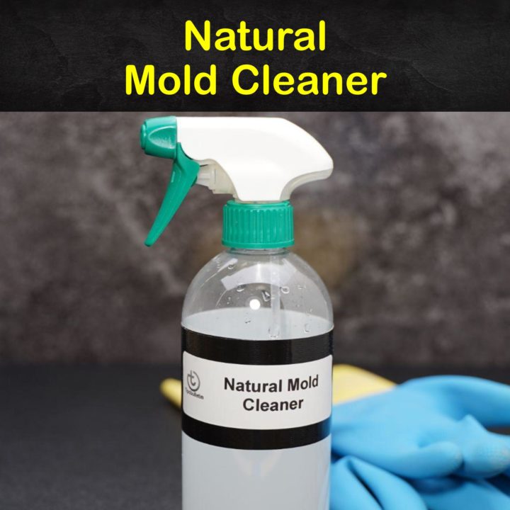 Natural Mold Cleaner