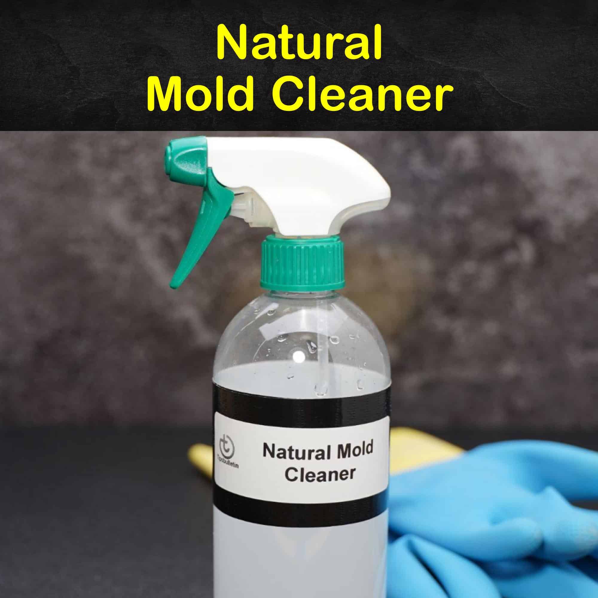 11 DIY Natural Mold Spray Recipes That Work • New Life On A Homestead