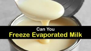 Can You Freeze Evaporated Milk titleimg1