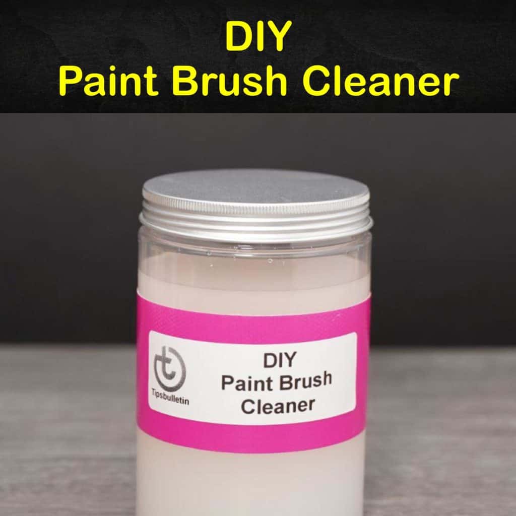3 Simple Paint Brush Cleaner Solutions