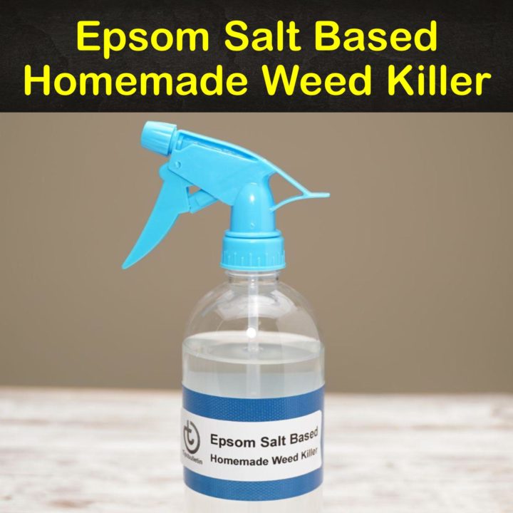 Epsom Salt Based Homemade Weed Killer