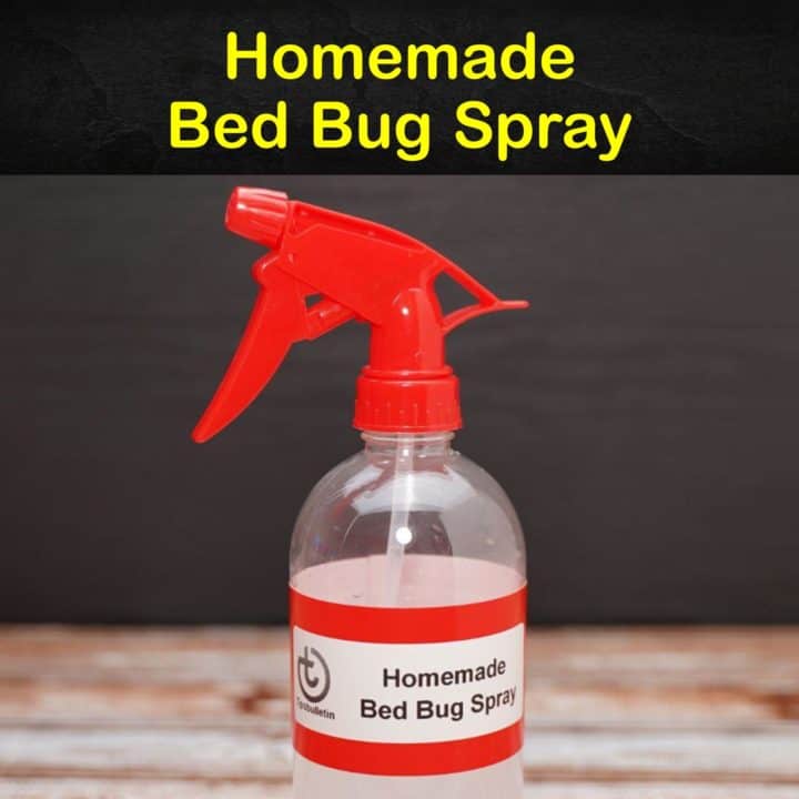 Homemade Bed Bug Spray