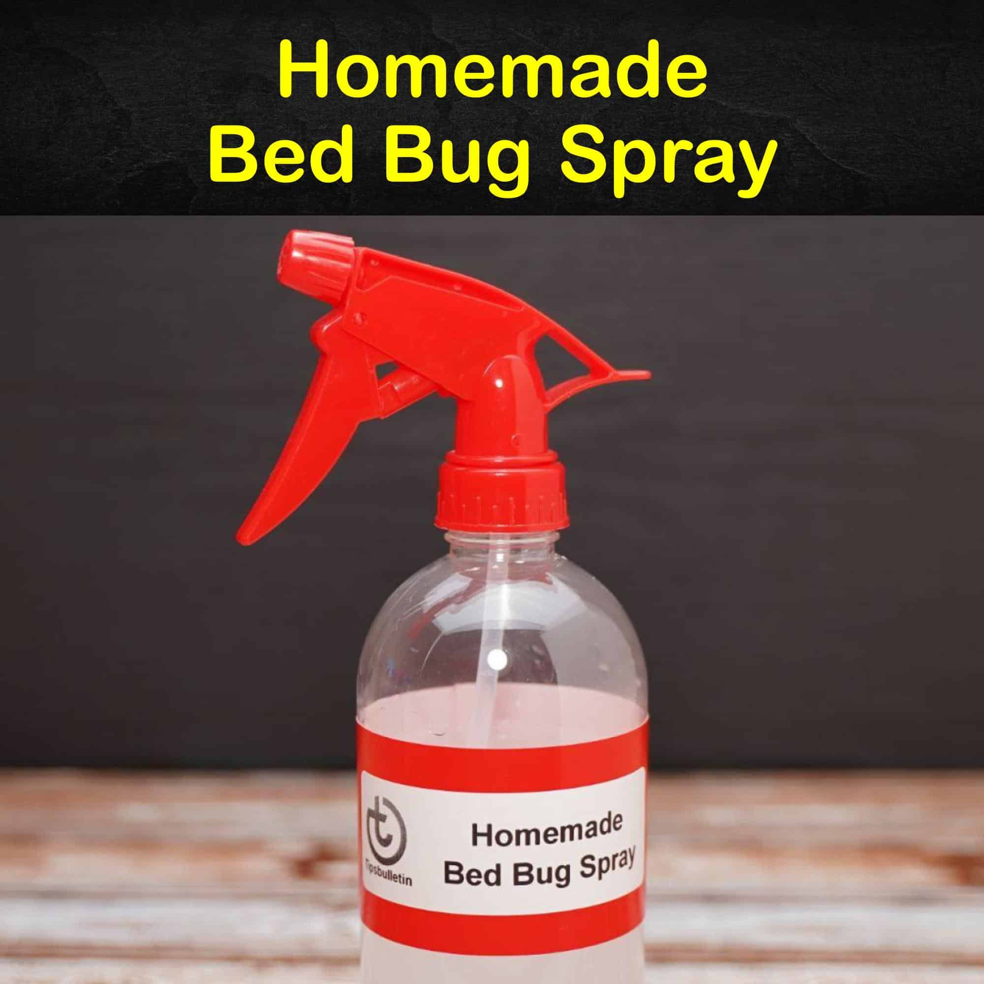 how-to-make-homemade-bed-bug-spray-infoupdate