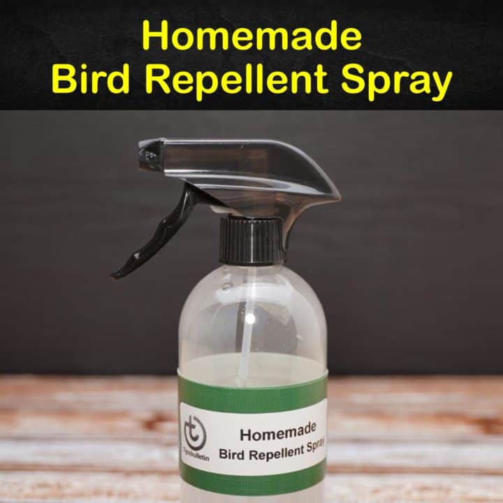 Homemade Bird Repellent Spray
