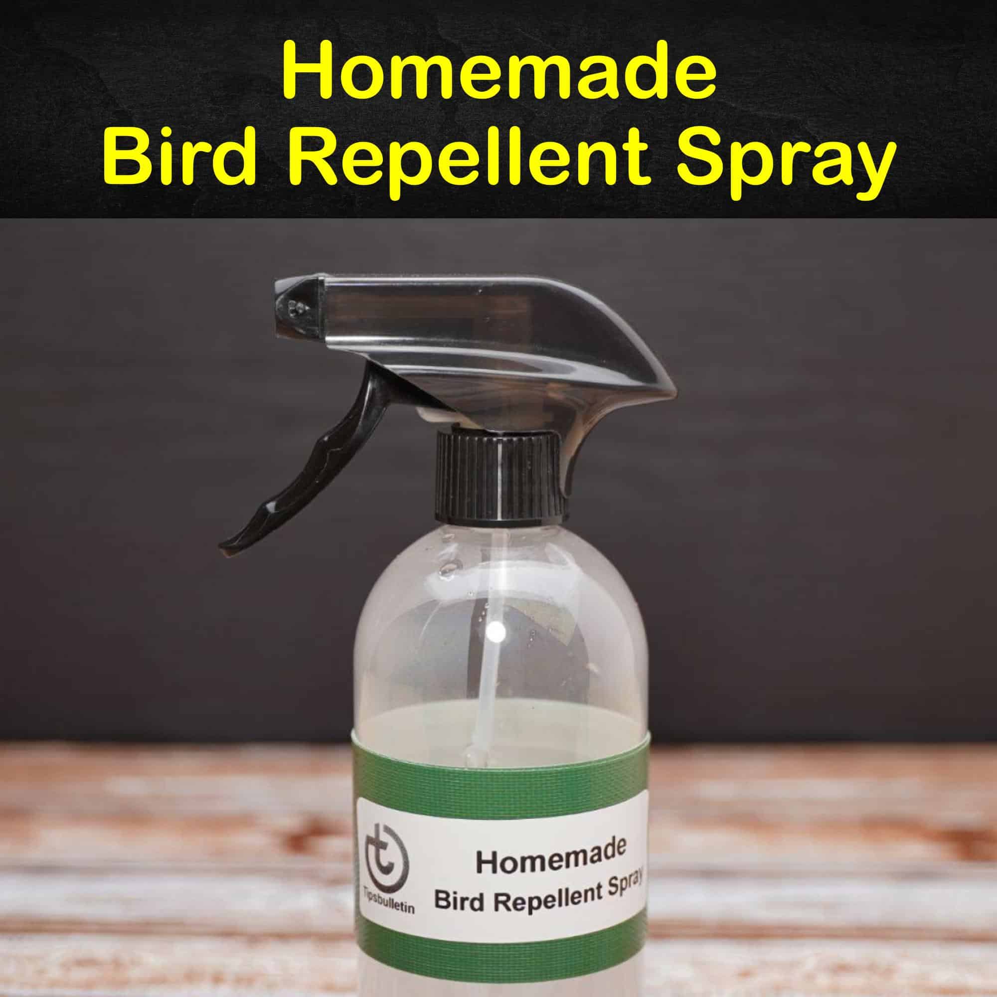 Keeping Birds Away 3 Homemade Bird Repellent Spray Recipes keeping-birds-away-3-homemade-bird-repellent-spray-recipes