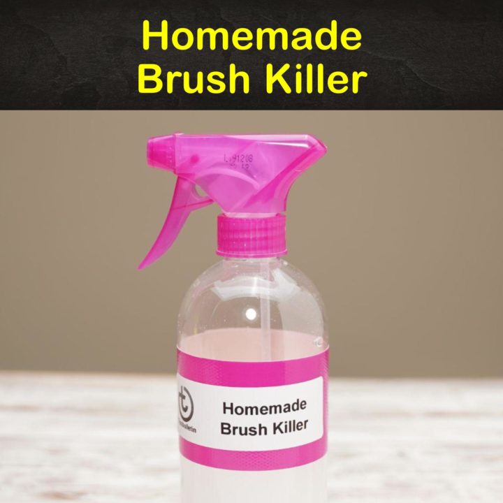 Homemade Brush Killer