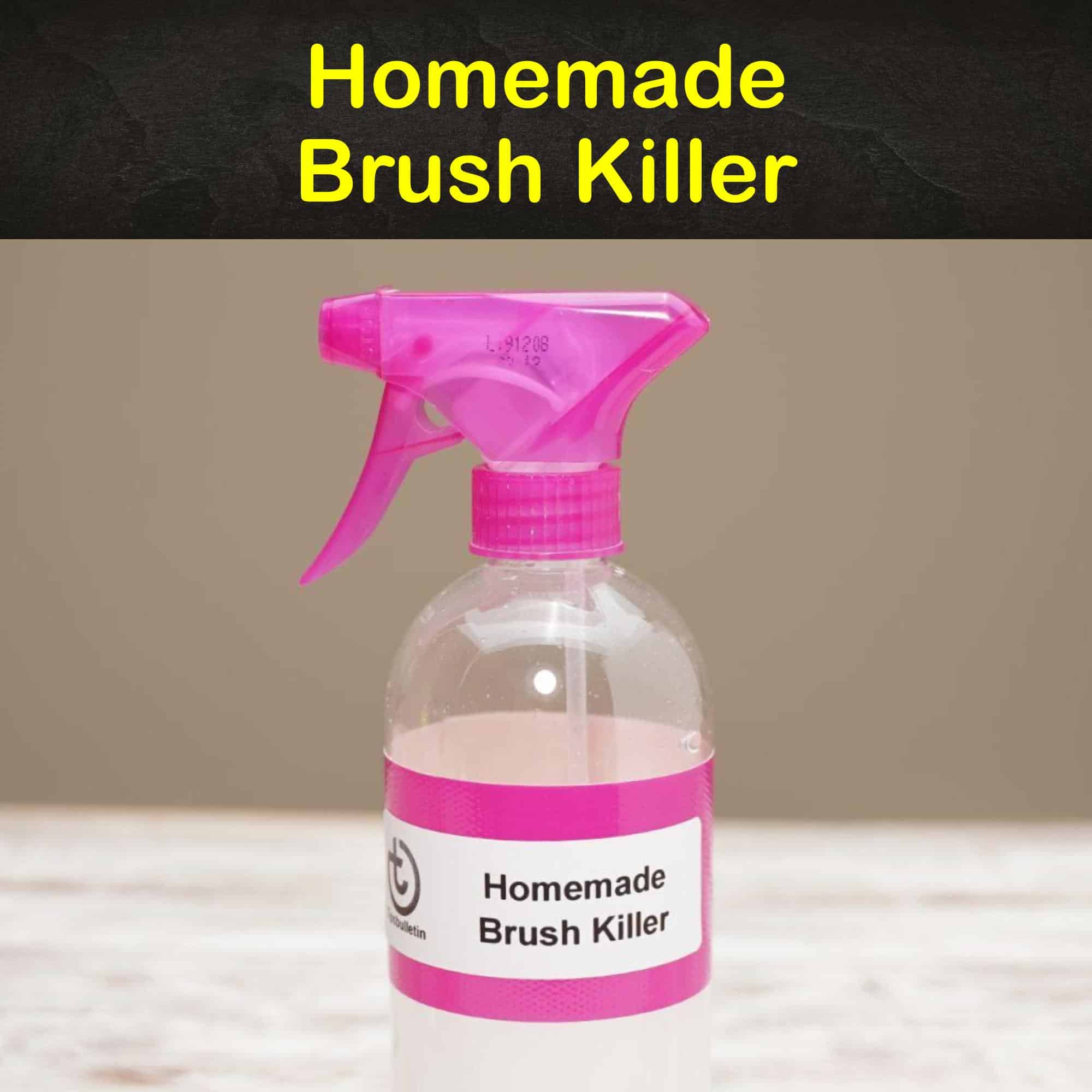 5+ Simple Homemade Brush Killer Recipes