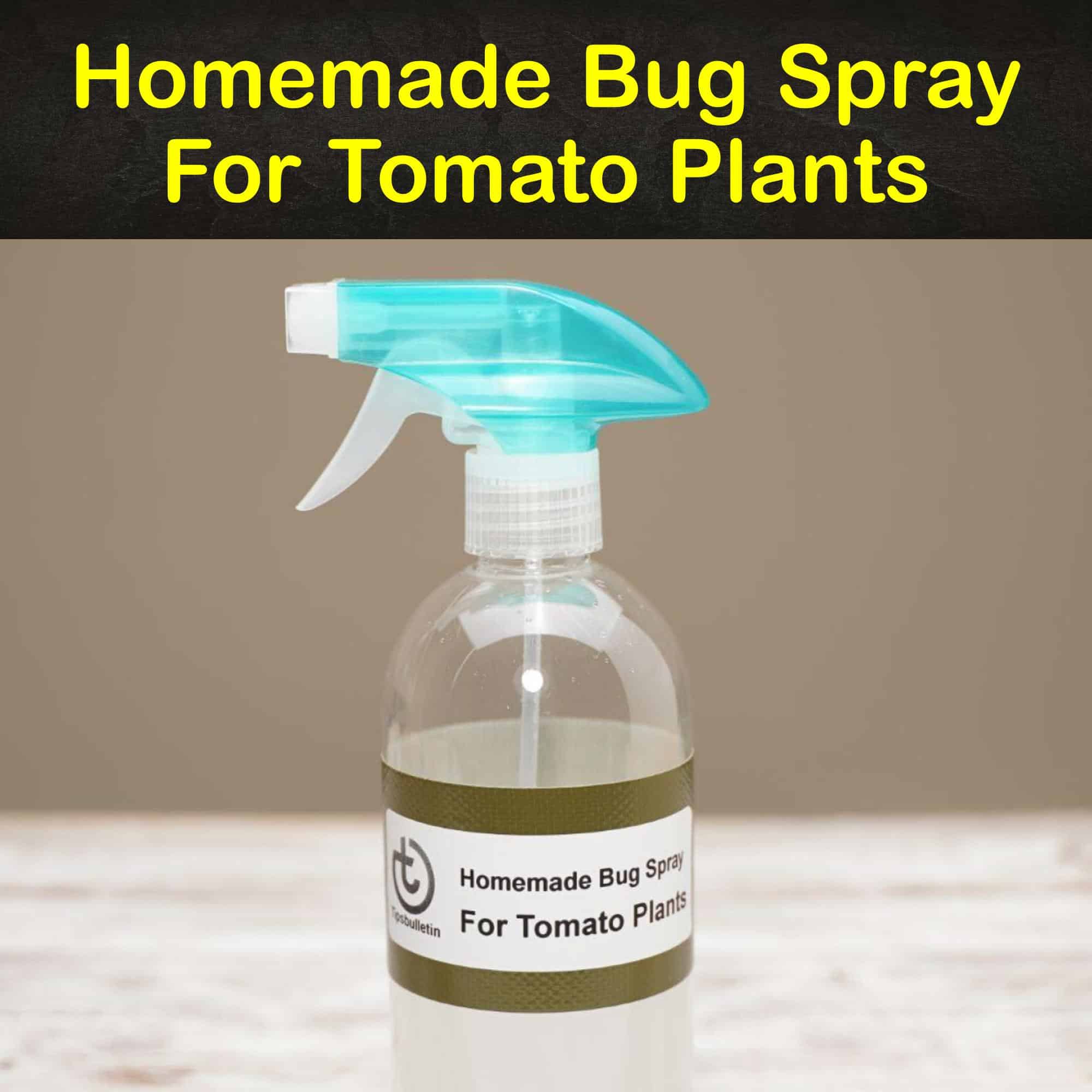 10 Amazing DIY Bug Sprays for Tomato Plants