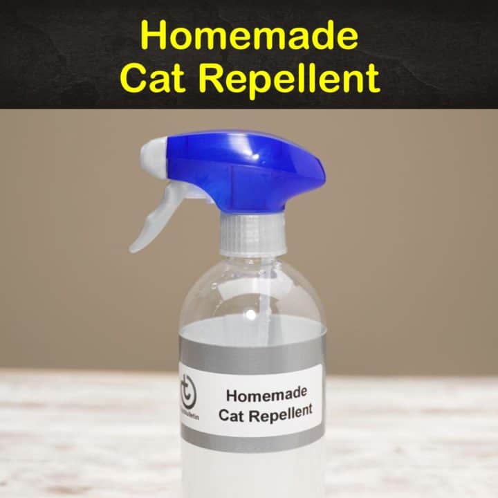 Homemade Cat Repellent