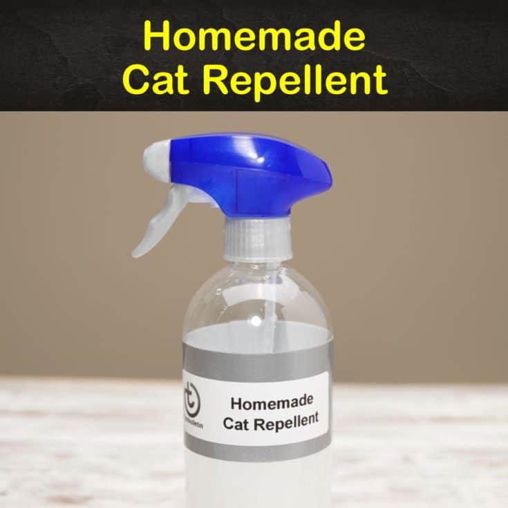 natural spray to keep cats away