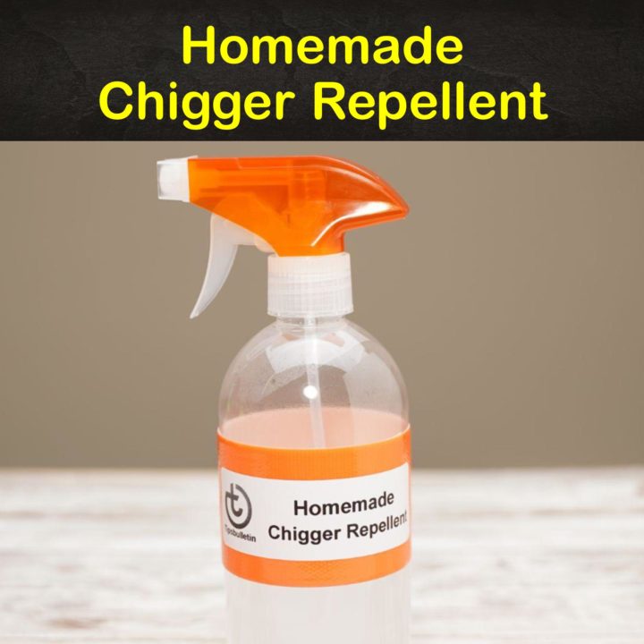 Homemade Chigger Repellent
