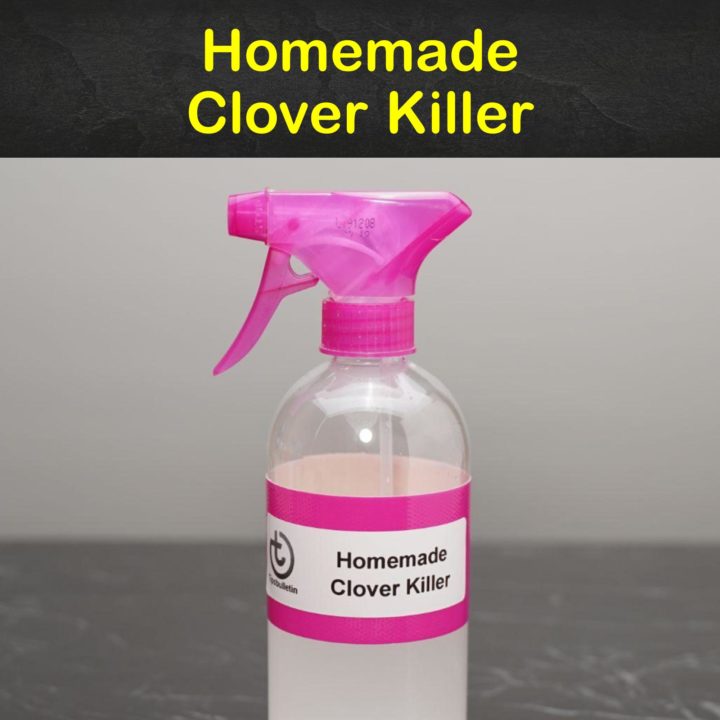 Homemade Clover Killer